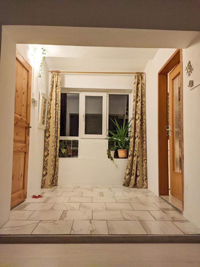 Moss'S Economy Apartment Тімішоара Екстер'єр фото