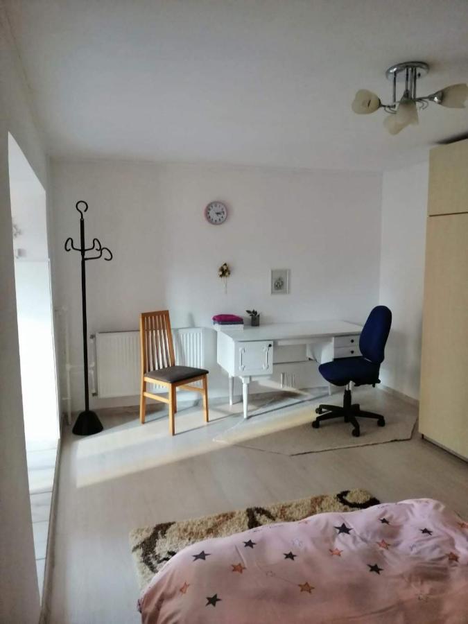 Moss'S Economy Apartment Тімішоара Екстер'єр фото