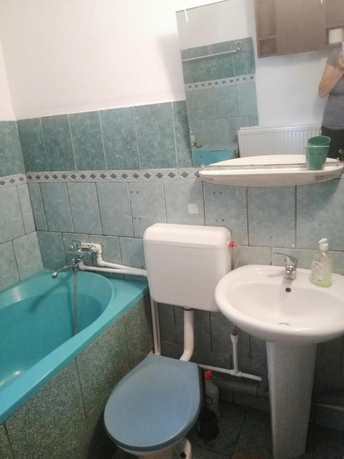 Moss'S Economy Apartment Тімішоара Екстер'єр фото